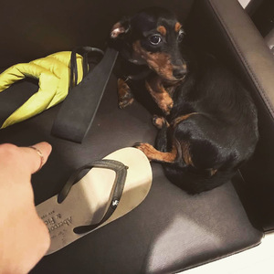 医生把我添高潮了A片
